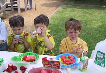 06-25-2004_20_BeaconPlaygr