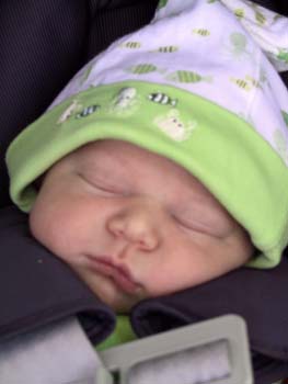 08-07-2004_19_LAandPark