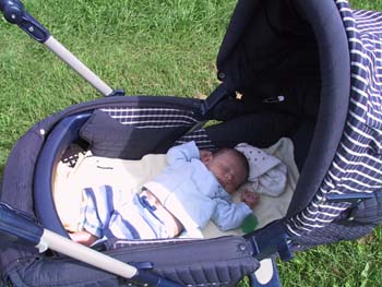 09-06-2004_06_ApplePickig