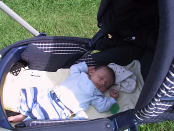 09-06-2004_07_ApplePickig