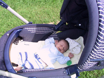 09-06-2004_07_ApplePickig