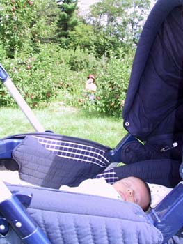 09-06-2004_09_ApplePickig