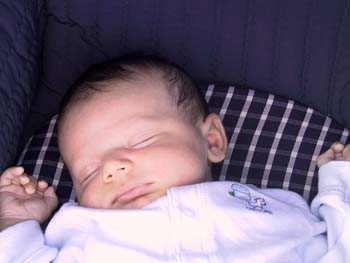 09-06-2004_11_ApplePickig