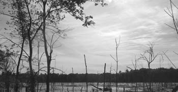 09-06-2004_14_ApplePickig