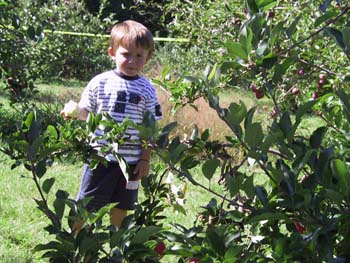 09-26-2004_01_CarlsonFarm