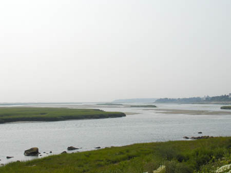 08-05-2005_02_CapeCod