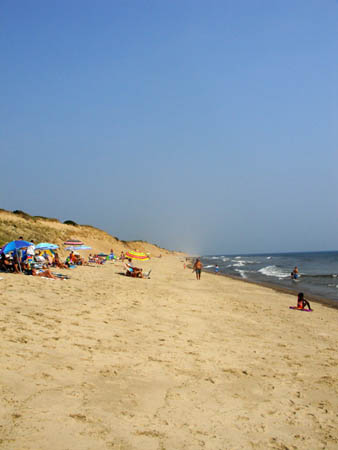 08-05-2005_05_CapeCod