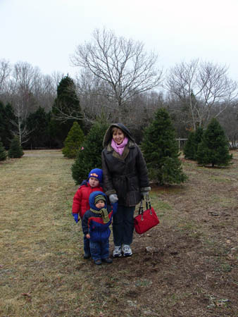 12-18-2005_03_XmasstreeCut