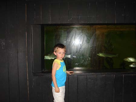 07-24-2006_01_CapeCod