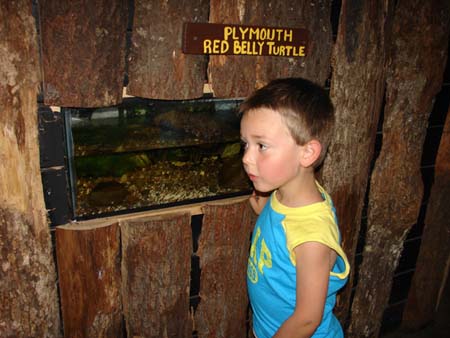 07-24-2006_02_CapeCod