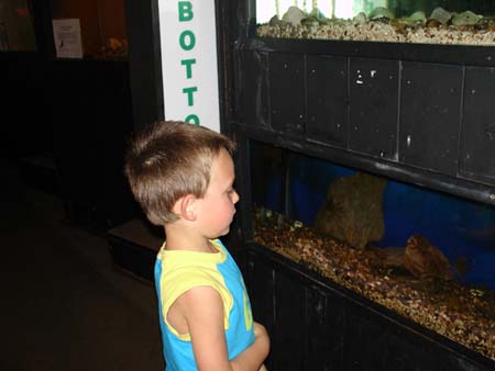 07-24-2006_03_CapeCod