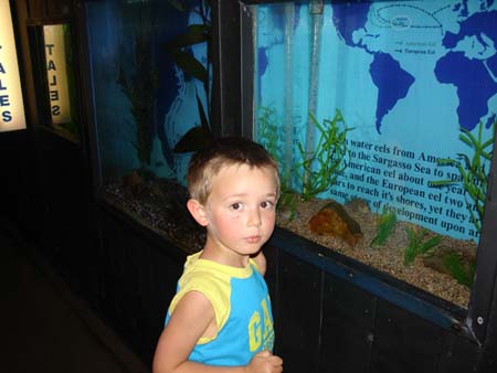 07-24-2006_04_CapeCod