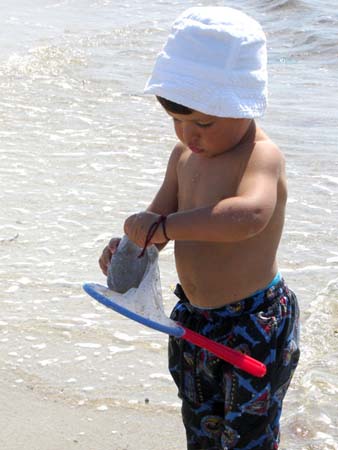 07-29-2006_06_CapeCod