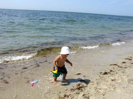 07-29-2006_08_CapeCod