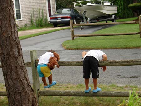 08-04-2006_14_CapeCod