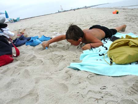 08-04-2006_17_CapeCod