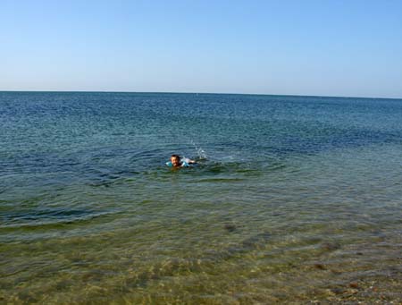 08-05-2006_02_CapeCod