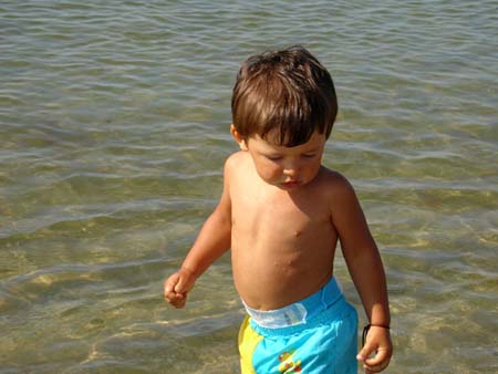 08-05-2006_06_CapeCod