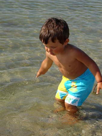 08-05-2006_07_CapeCod