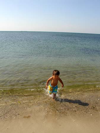 08-05-2006_10_CapeCod