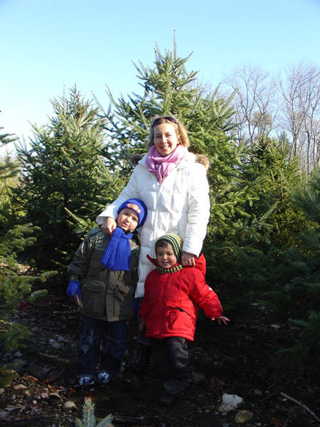 12-03-2006_02_XmassTreeFarm