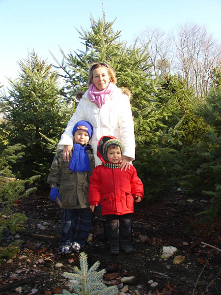 12-03-2006_04_XmassTreeFarm