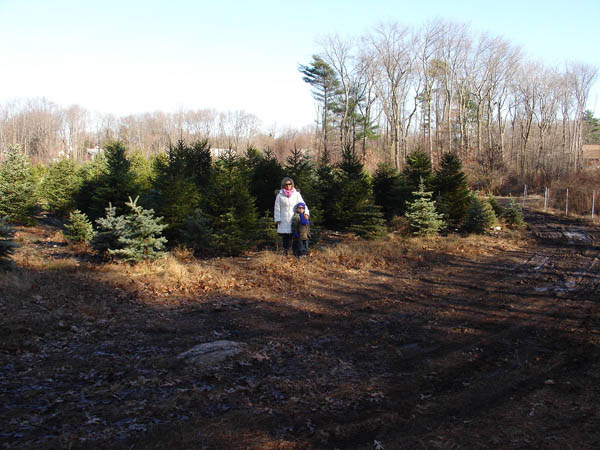 12-03-2006_05_XmassTreeFarm