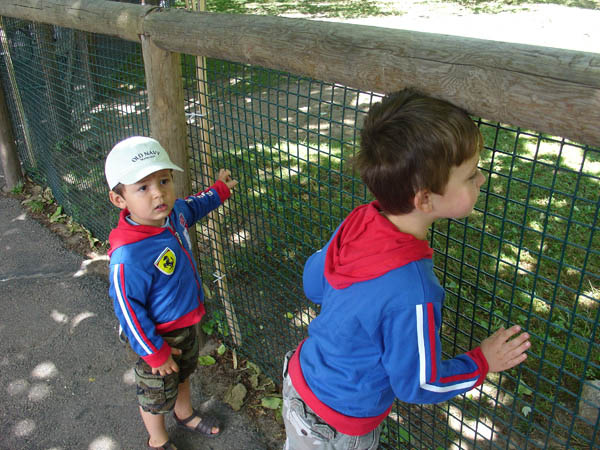 07-01-2007_01_SouthWZoo