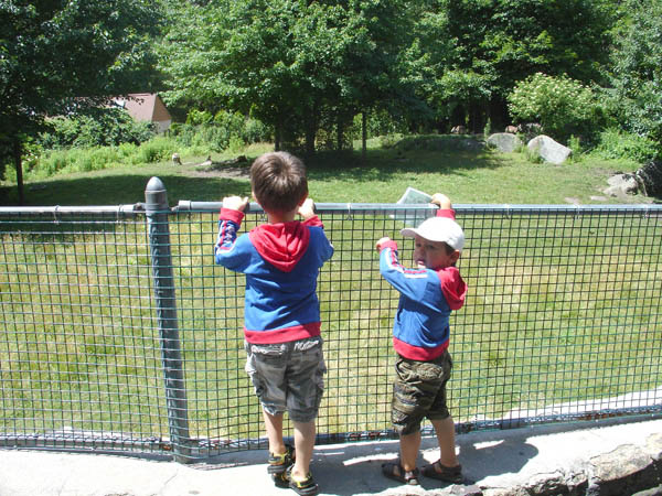 07-01-2007_02_SouthWZoo