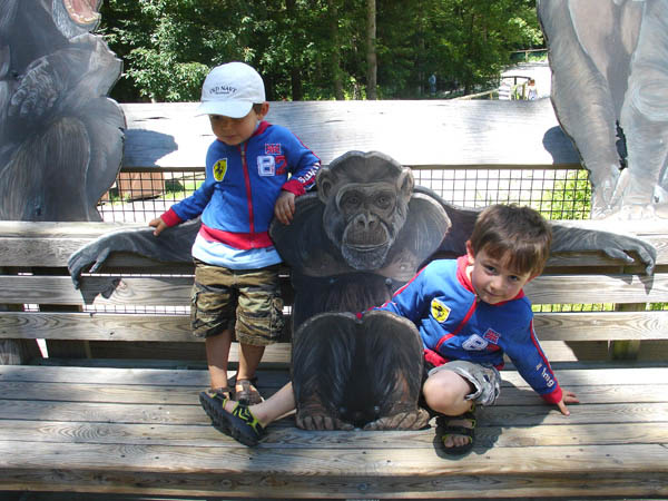 07-01-2007_17_SouthWZoo