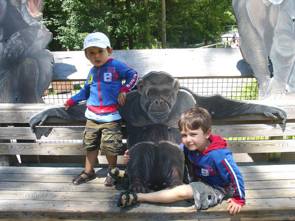 07-01-2007_18_SouthWZoo