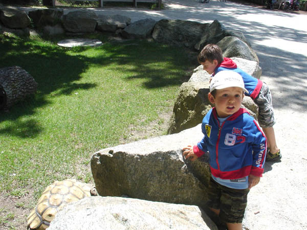 07-01-2007_19_SouthWZoo