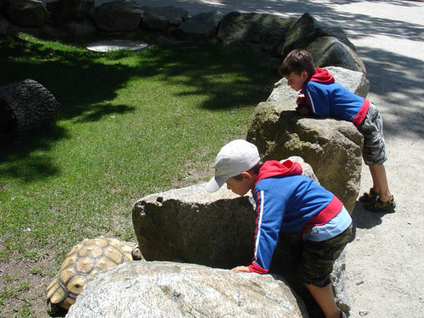 07-01-2007_20_SouthWZoo