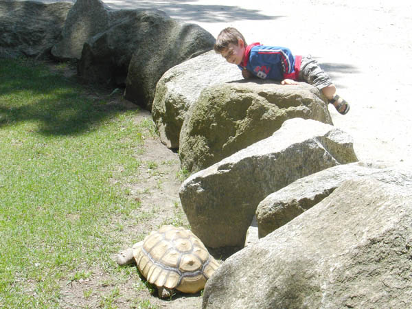 07-01-2007_21_SouthWZoo