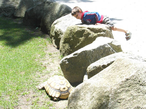 07-01-2007_22_SouthWZoo