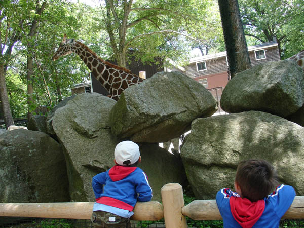 07-01-2007_25_SouthWZoo