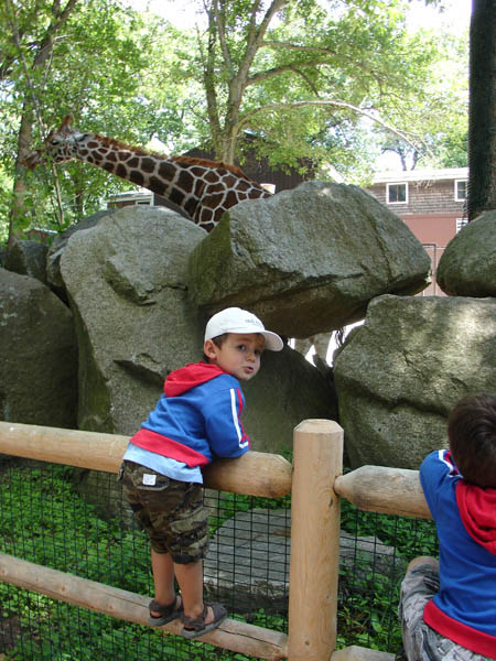 07-01-2007_26_SouthWZoo