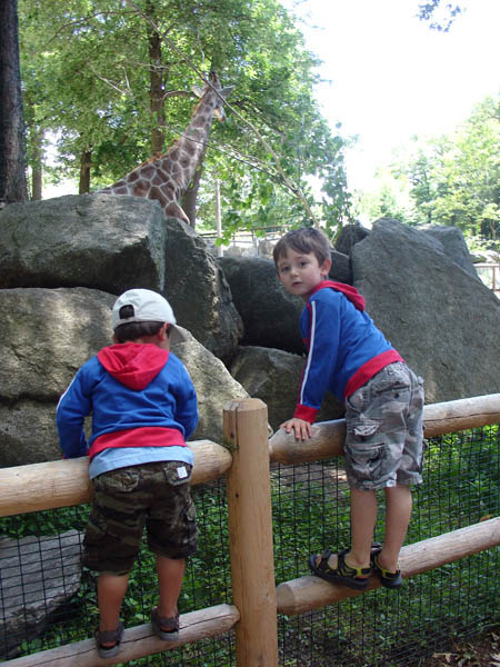 07-01-2007_27_SouthWZoo