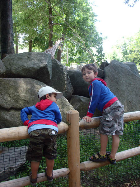 07-01-2007_28_SouthWZoo