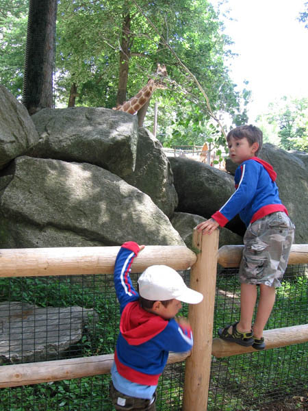 07-01-2007_28b_SouthWZoo