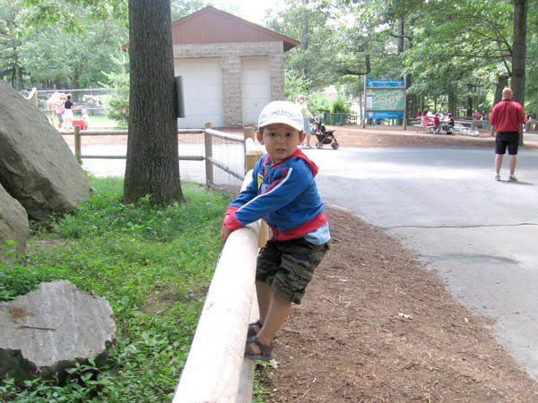 07-01-2007_29a_SouthWZoo