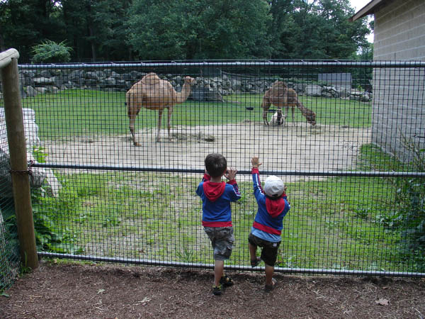 07-01-2007_30_SouthWZoo