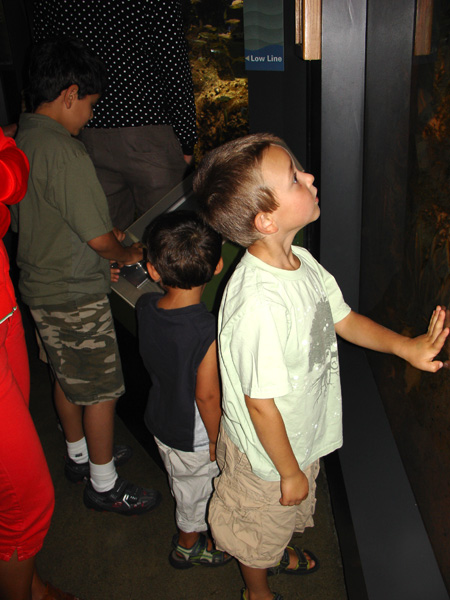 08-18-2007_01_NEAquarium