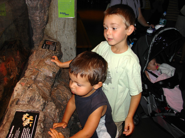 08-18-2007_03_NEAquarium