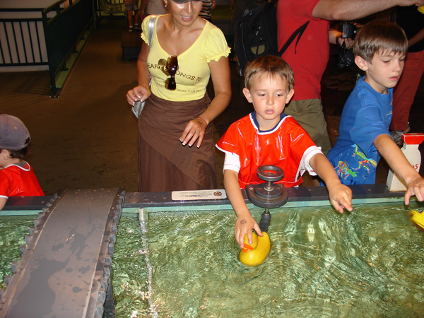 07-20-2008_06h_Mus_of_Sci