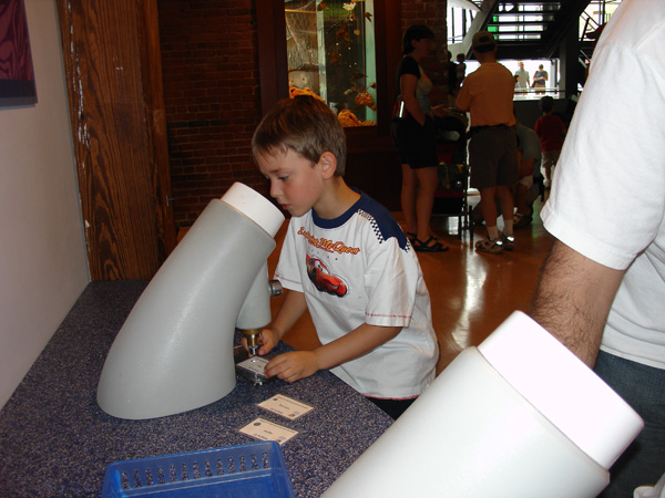 07-20-2008_11_Mus_of_Sci