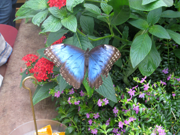 08-05-2008_02_Mus_of_Sci