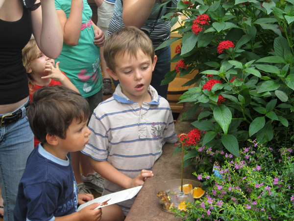 08-05-2008_04_Mus_of_Sci